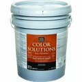 Worldwide Sourcing Color Solutions Latex Flat Self-Priming Exterior House Paint CS45T0705-20